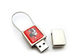 Corporate gifts - Custom Logo USB Flash Drives