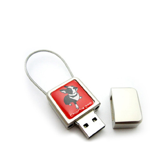 Corporate gifts - Custom Logo USB Flash Drives