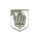 Custom Shield Shape Pin Badge