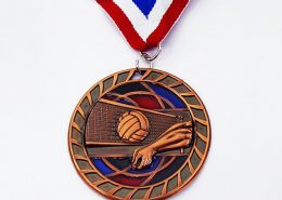 Volleyball Custom Medal