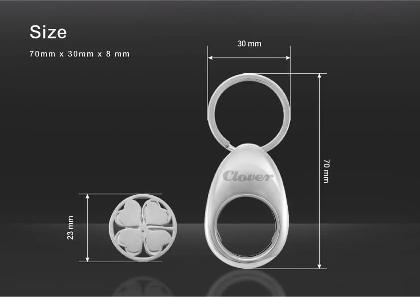 The size of The description of Egg Shaped Cut Out Coin Keychain En 02
