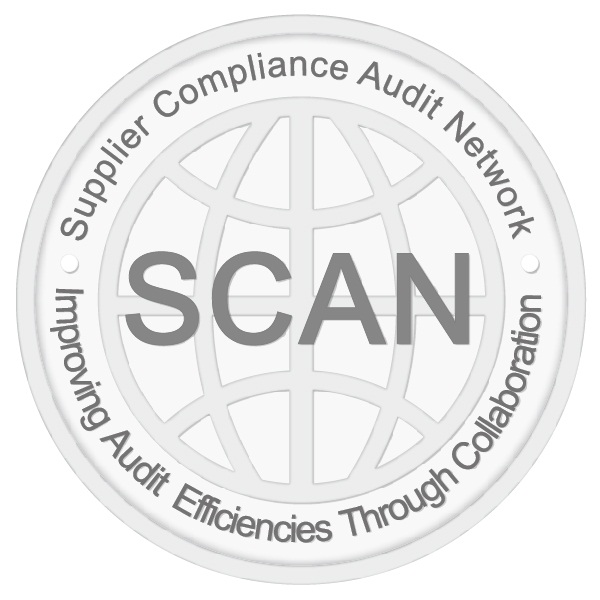 Grey scale logo of SCAN Audit