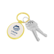 Oval Shaped Zinc Alloy Keyring and two keys.