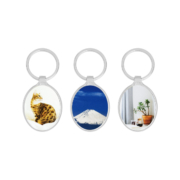 Customize Oval Shaped Zinc Alloy Keyring with your valuable photo.