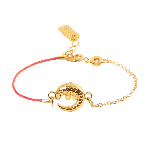 Design A Custom Lucky Charm Bracelet – Sunday Forever-vachngandaiphat.com.vn